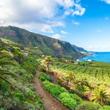 Landscape with North Tenerife coast on Canary island, Spain